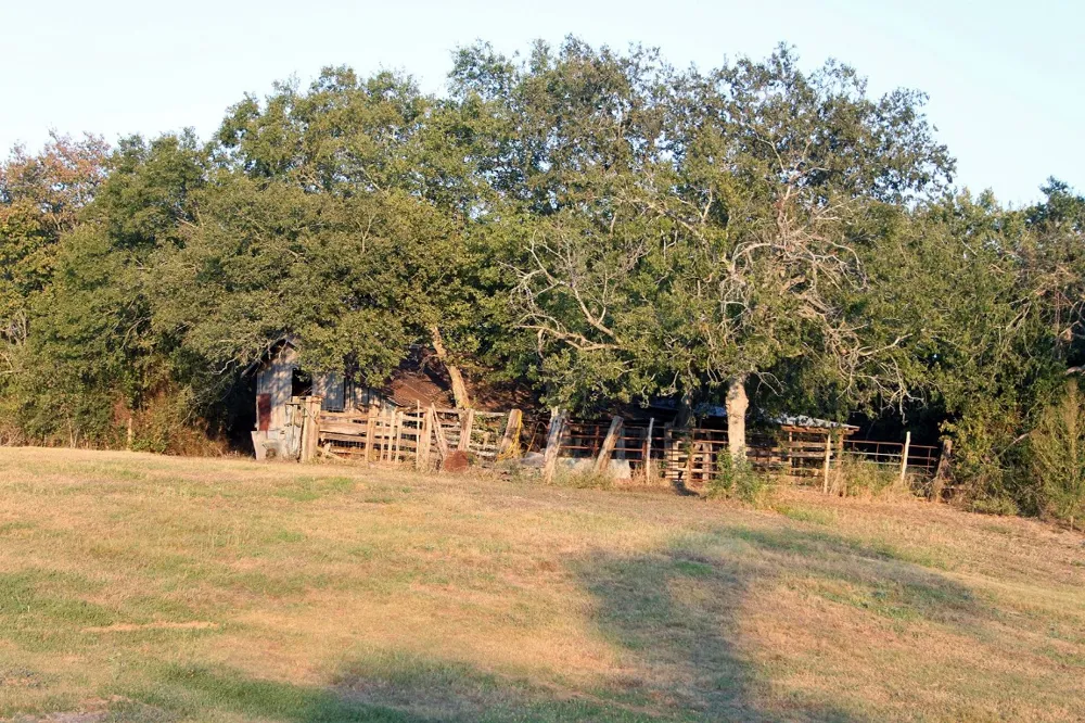 11445 Fm 1854 Dale, TX 78616