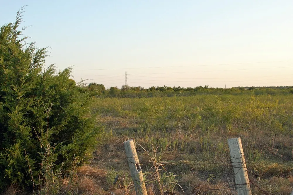 11445 Fm 1854 Dale, TX 78616