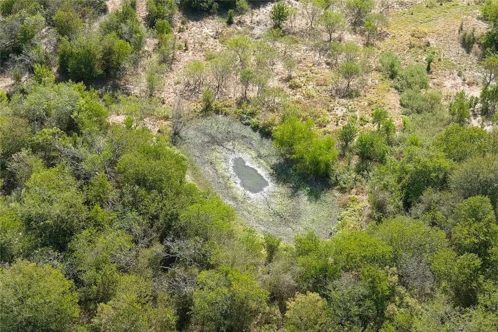 11445 Fm 1854 Dale, TX 78616