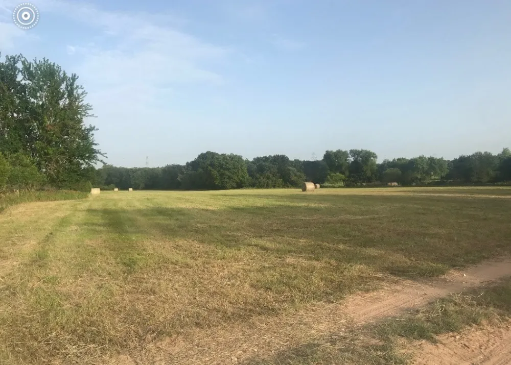1500 County Road 481 Thrall, TX 76578