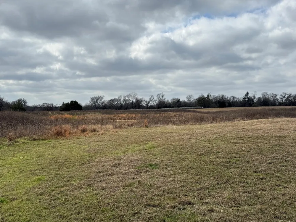 1500 County Road 481 Thrall, TX 76578