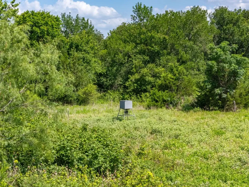 1500 County Road 481 Thrall, TX 76578