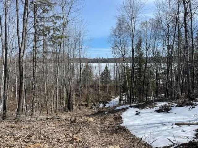 TBD Lot 5 New Manz Drive Lake George, MN 56458