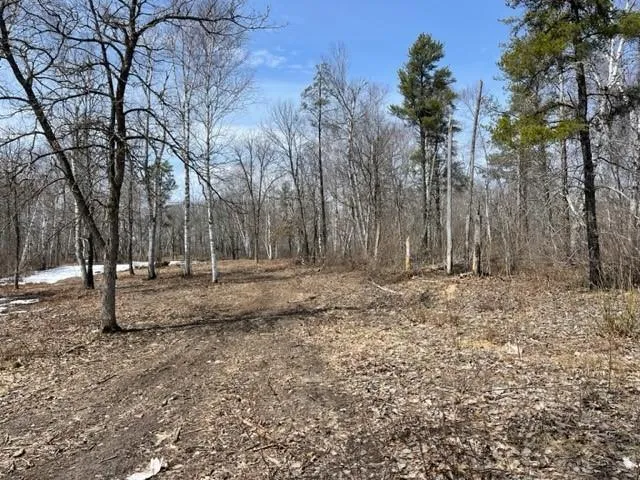 TBD Lot 5 New Manz Drive Lake George, MN 56458