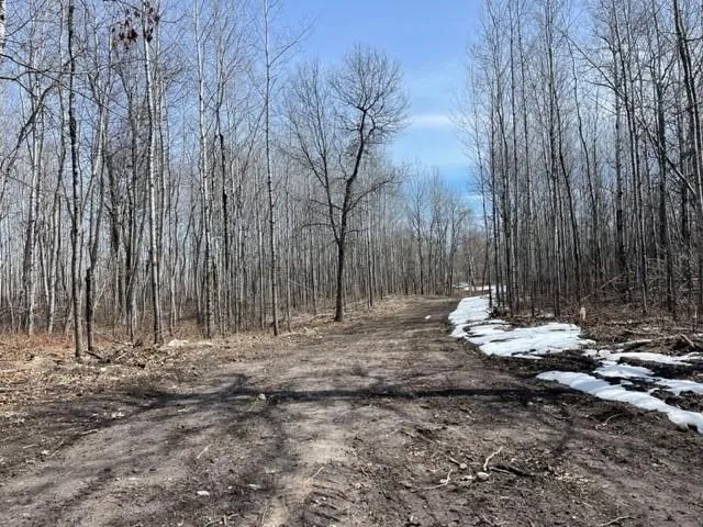 TBD Lot 5 New Manz Drive Lake George, MN 56458