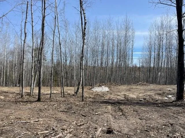 TBD Lot 5 New Manz Drive Lake George, MN 56458