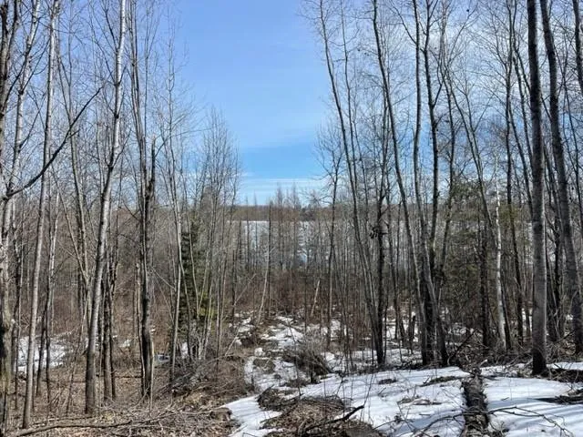 TBD Lot 5 New Manz Drive Lake George, MN 56458