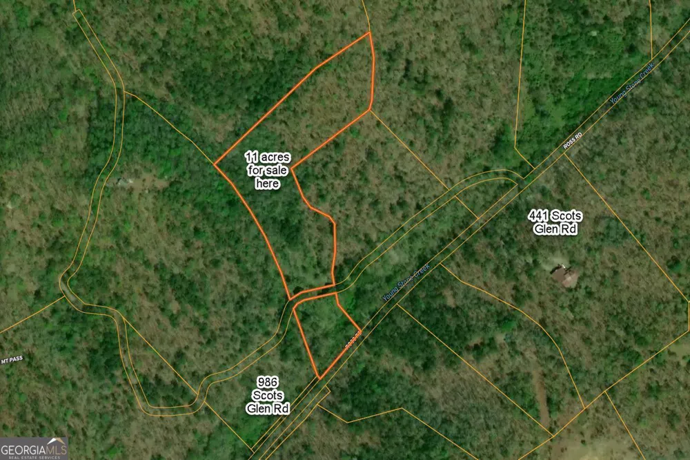 0 Scots GLN Mineral Bluff, GA 30559