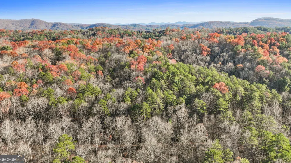 0 Scots GLN Mineral Bluff, GA 30559