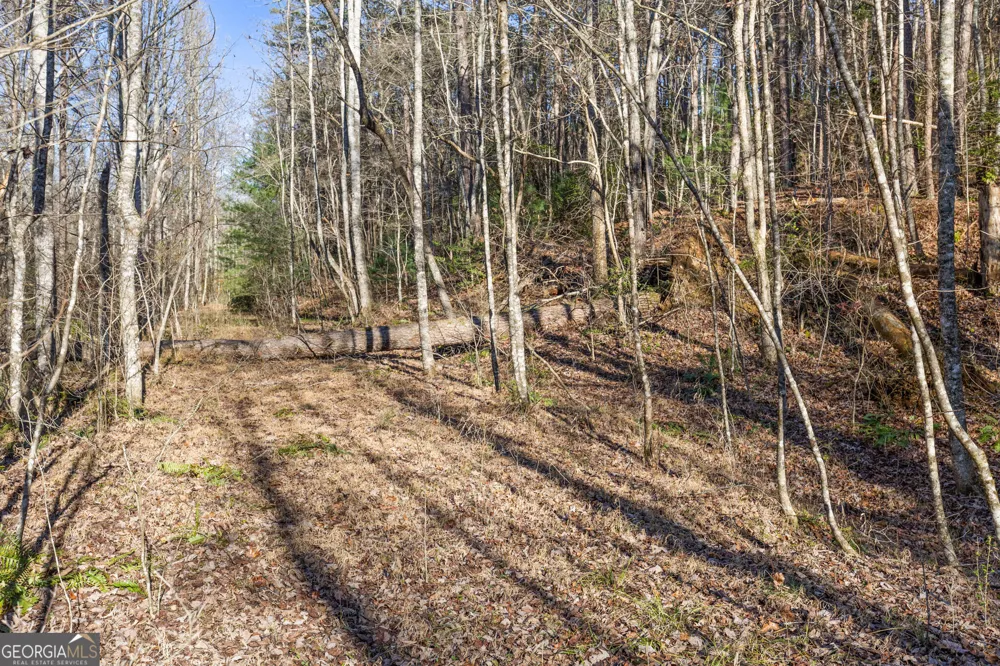 0 Scots GLN Mineral Bluff, GA 30559