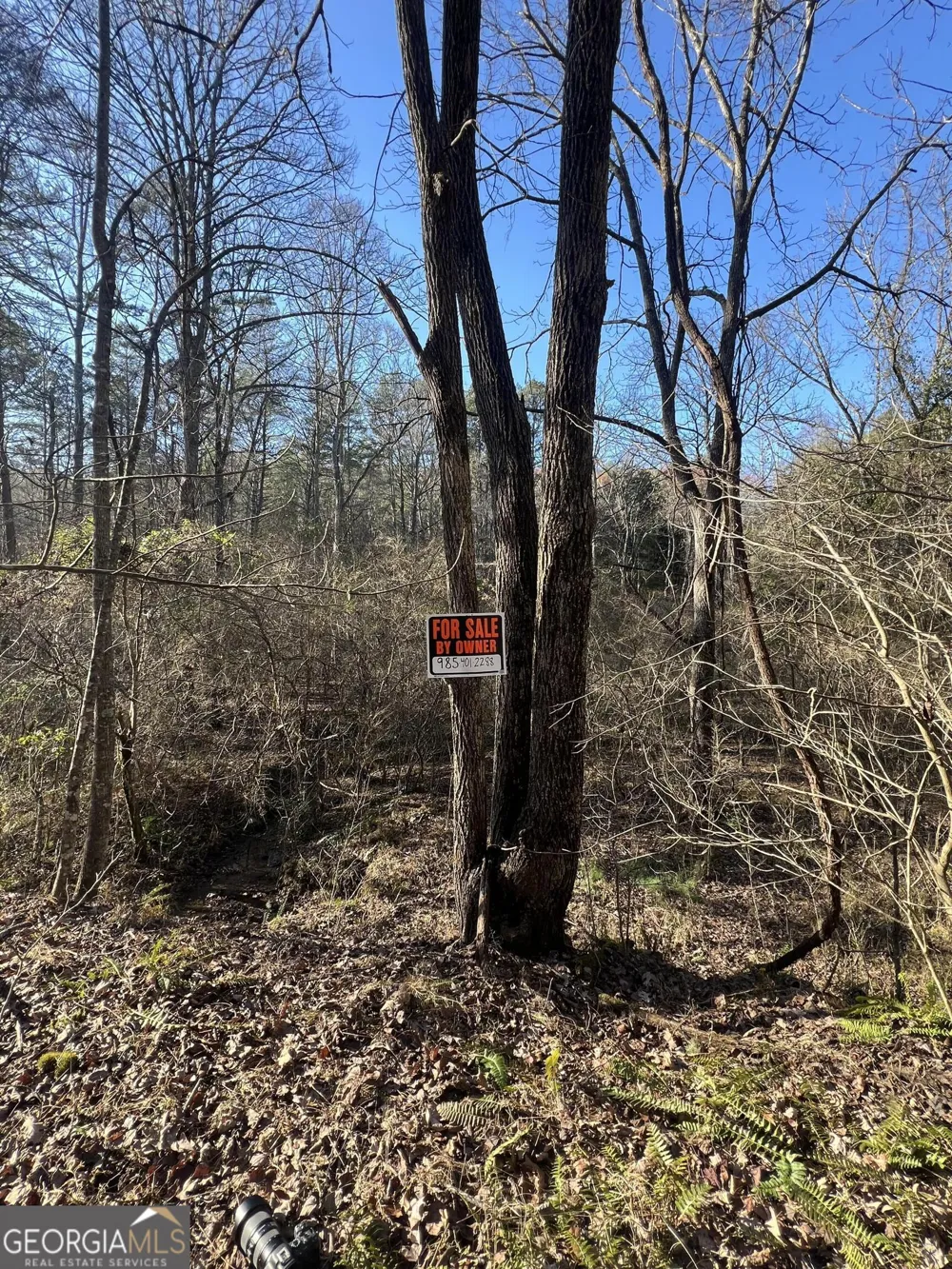 0 Scots GLN Mineral Bluff, GA 30559