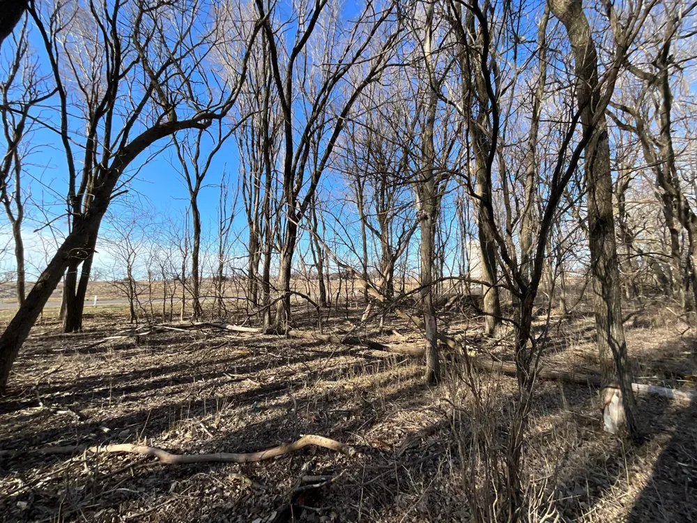 14 Cottonwood Lake Boulevard Windom, MN 56101