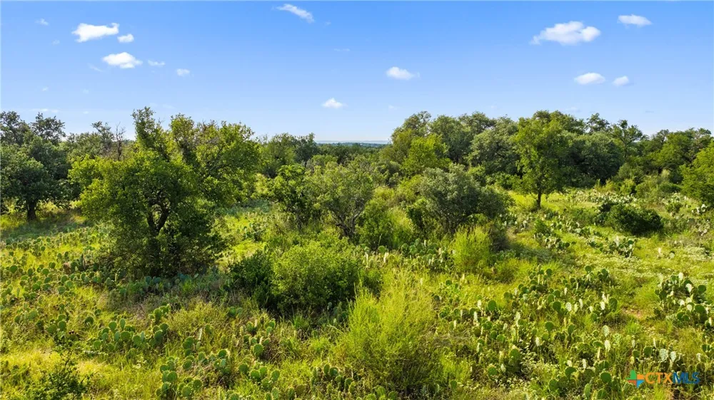 W Rr 962 Round Mountain, TX 78663