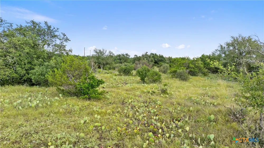 W Rr 962 Round Mountain, TX 78663