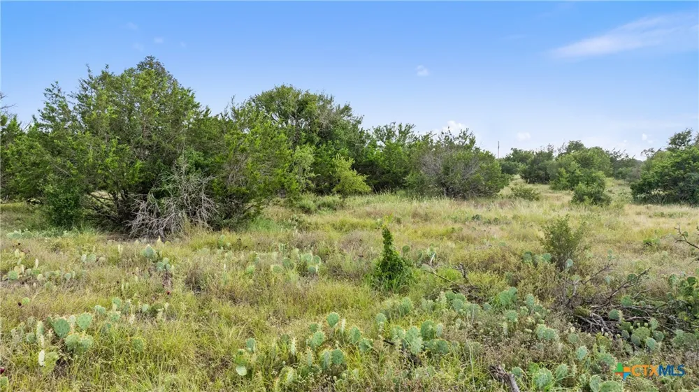 W Rr 962 Round Mountain, TX 78663