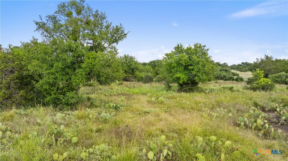 W Rr 962 Round Mountain, TX 78663