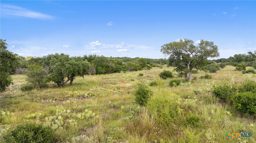 W Rr 962 Round Mountain, TX 78663