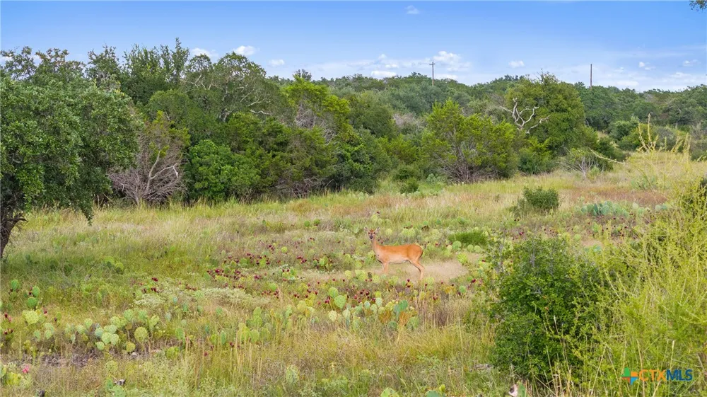 W Rr 962 Round Mountain, TX 78663