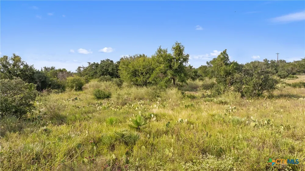 W Rr 962 Round Mountain, TX 78663
