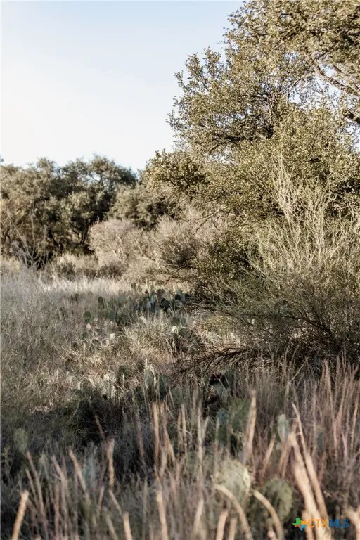 W Rr 962 Round Mountain, TX 78663