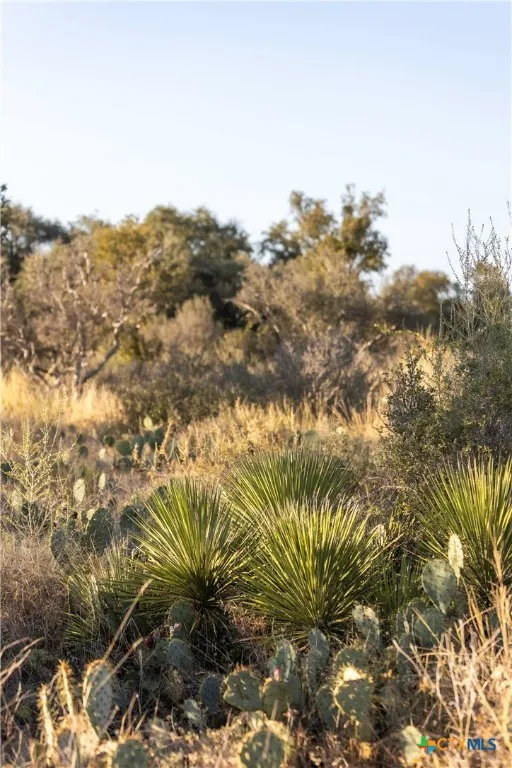 W Rr 962 Round Mountain, TX 78663