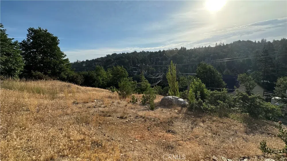 26867 Inyo Court Lake Arrowhead, CA 92352