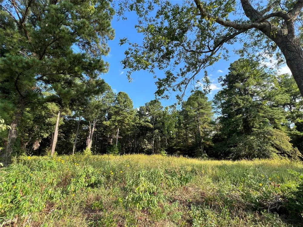 FM 1801 Mineola, TX 75773