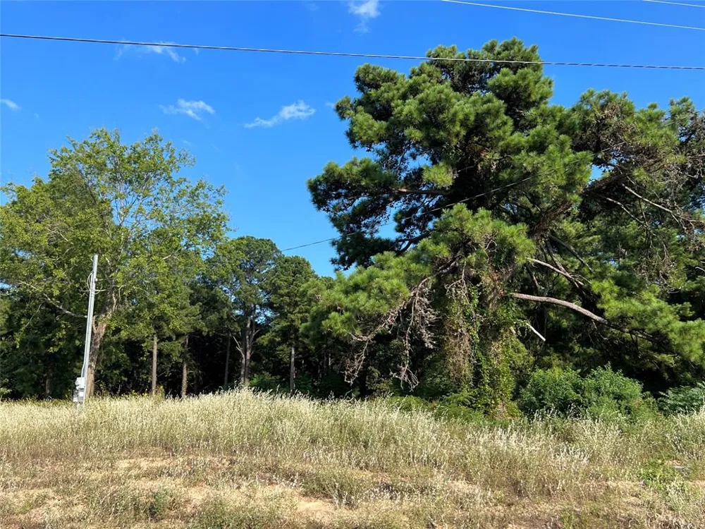 FM 1801 Mineola, TX 75773