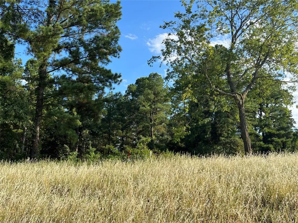FM 1801 Mineola, TX 75773