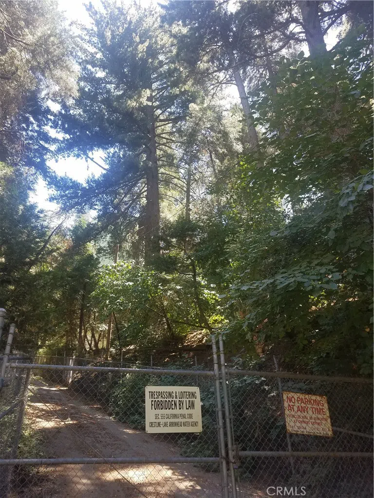 342 Ballenger Cedarpines Park, CA 92322