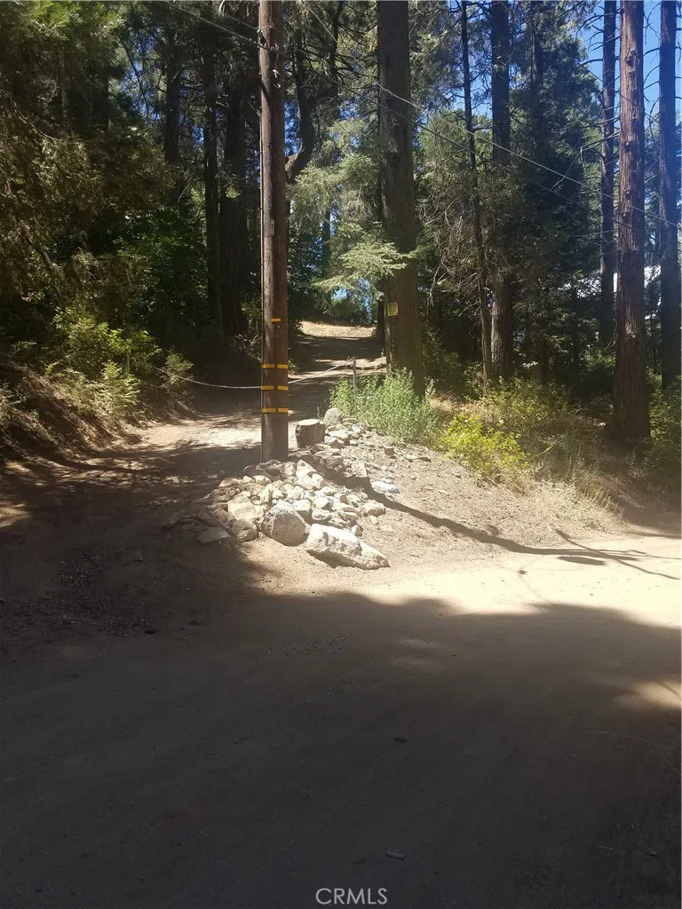342 Ballenger Cedarpines Park, CA 92322