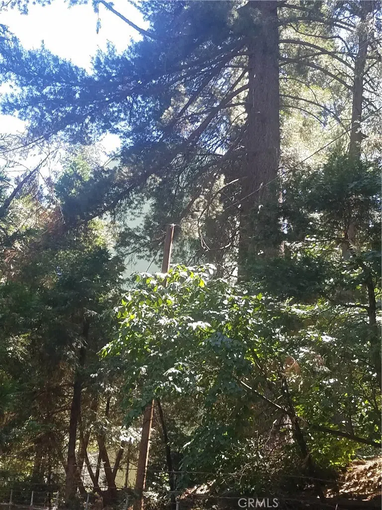 342 Ballenger Cedarpines Park, CA 92322