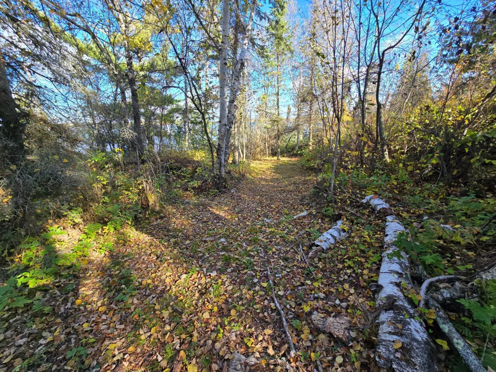 Tract 8 Brush Island Angle Inlet, MN 56711