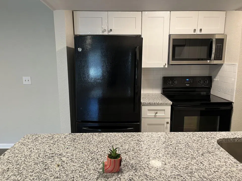 624 GOLDEN RAINTREE PLACE #624 Brandon, FL 33510