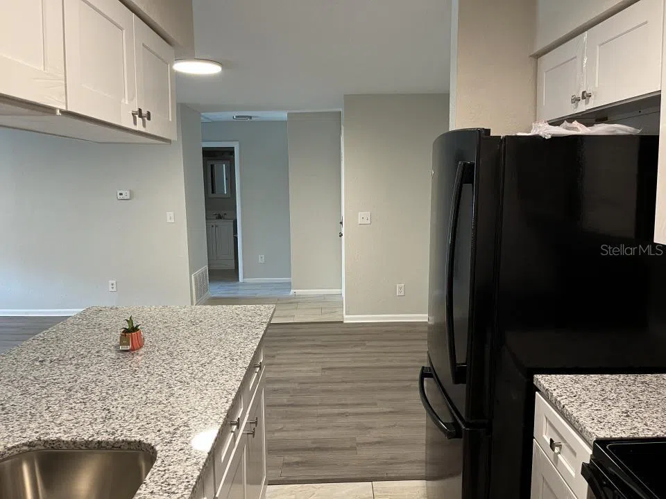 624 GOLDEN RAINTREE PLACE #624 Brandon, FL 33510
