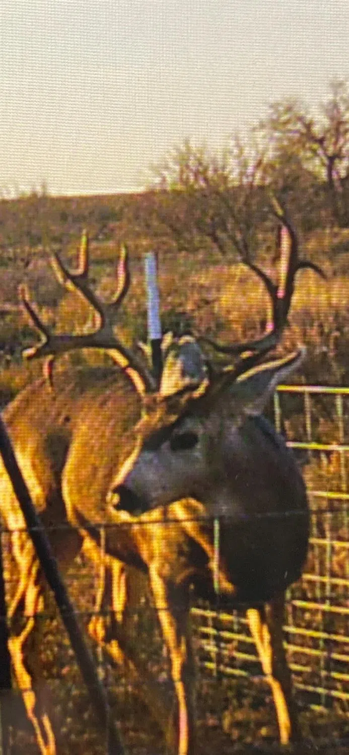 1825 County Road 595 Brownfield, TX 