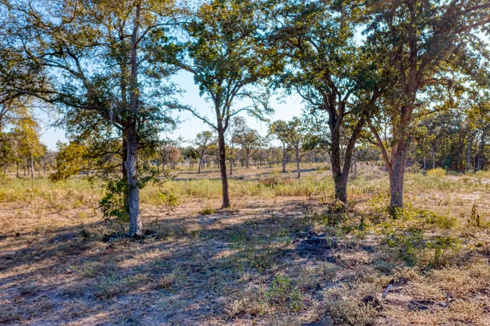 9202 Lockwood Springs Road Manor, TX 78653