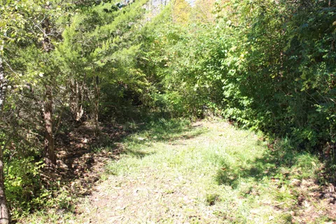 E Clark Road