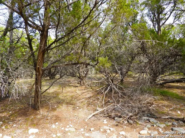 TBD SIMMONS ROAD Lakehills, TX 78063