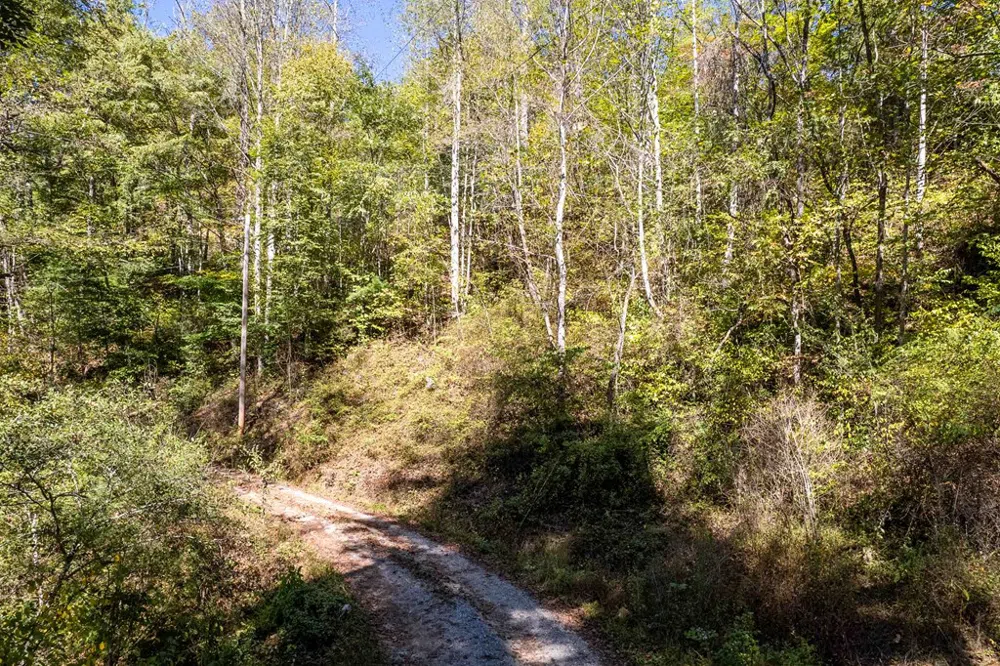 Bello Lago Ln. Tuckasegee, NC 28783