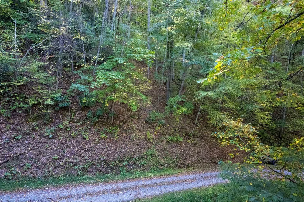 Little Bit Trl Whittier, NC 28789