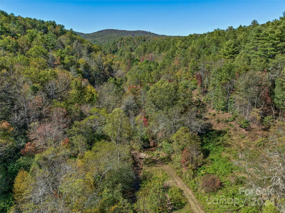 99999 Yager Farms Road Lake Toxaway, NC 28747