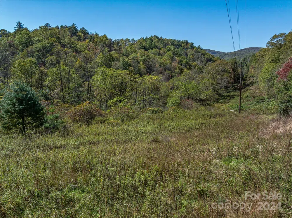 99999 Yager Farms Road Lake Toxaway, NC 28747