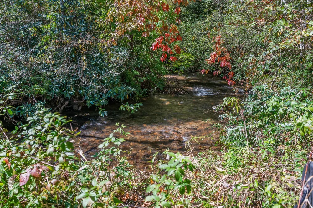 99999 Yager Farms Road Lake Toxaway, NC 28747