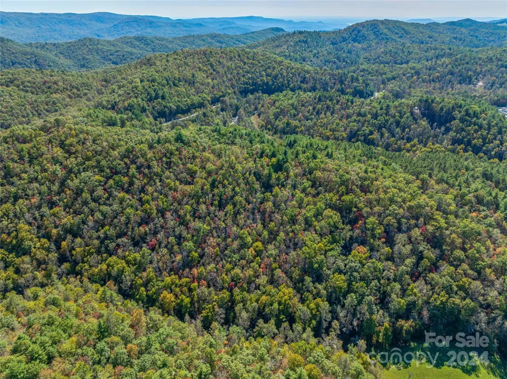 99999 Yager Farms Road Lake Toxaway, NC 28747