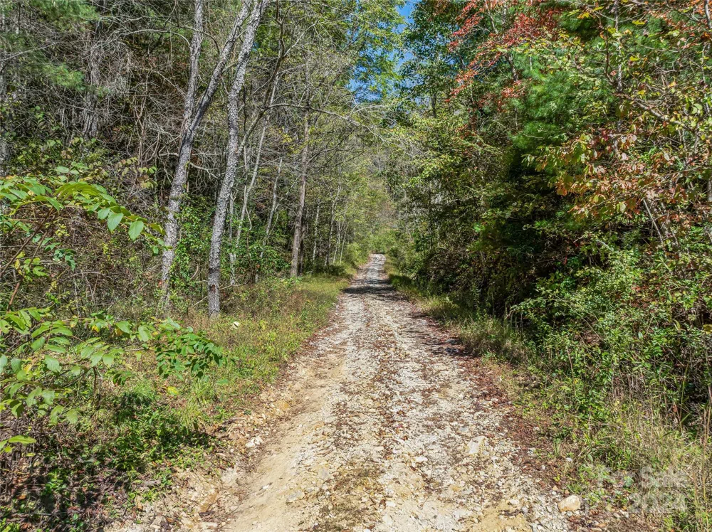 99999 Yager Farms Road Lake Toxaway, NC 28747