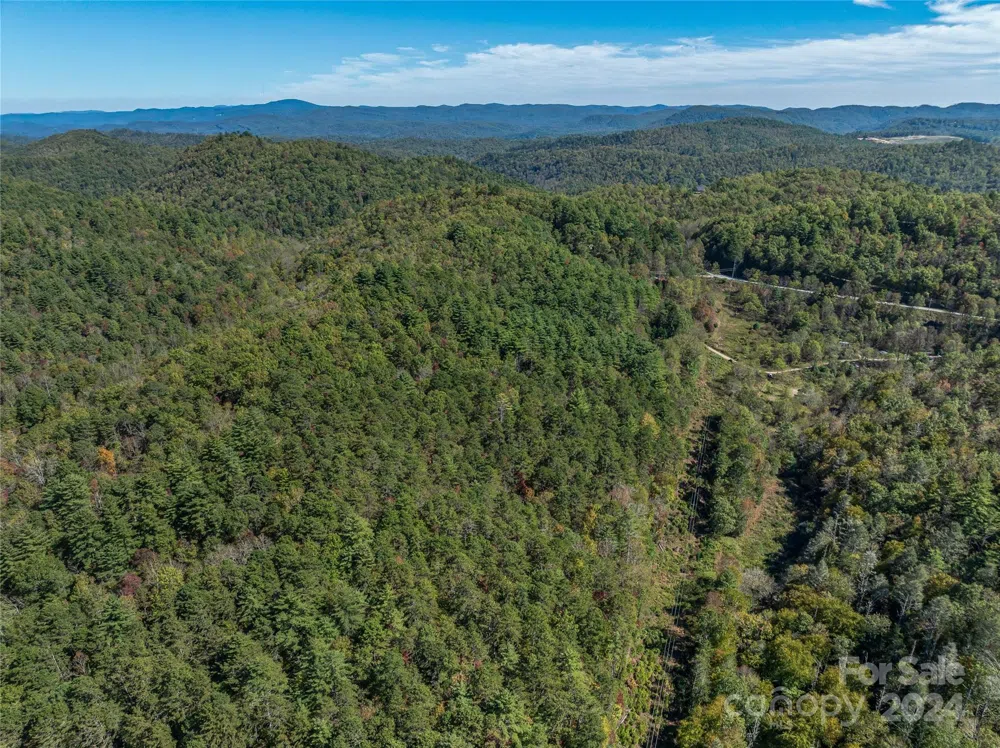 99999 Yager Farms Road Lake Toxaway, NC 28747