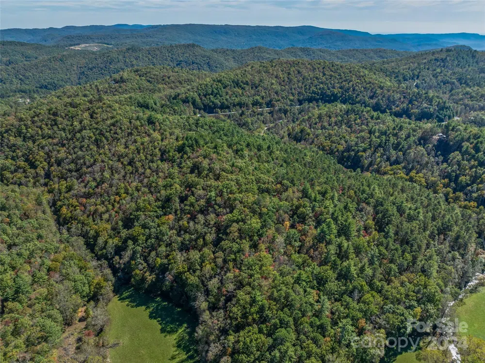 99999 Yager Farms Road Lake Toxaway, NC 28747