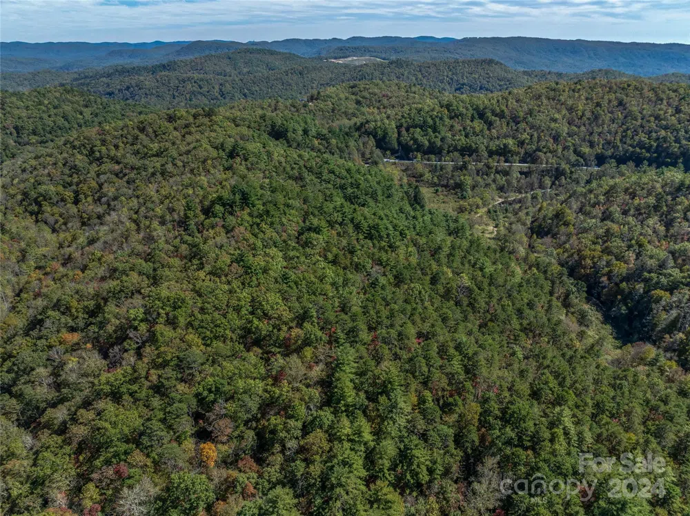 99999 Yager Farms Road Lake Toxaway, NC 28747