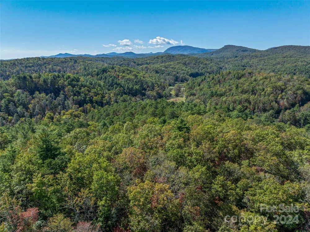99999 Yager Farms Road Lake Toxaway, NC 28747